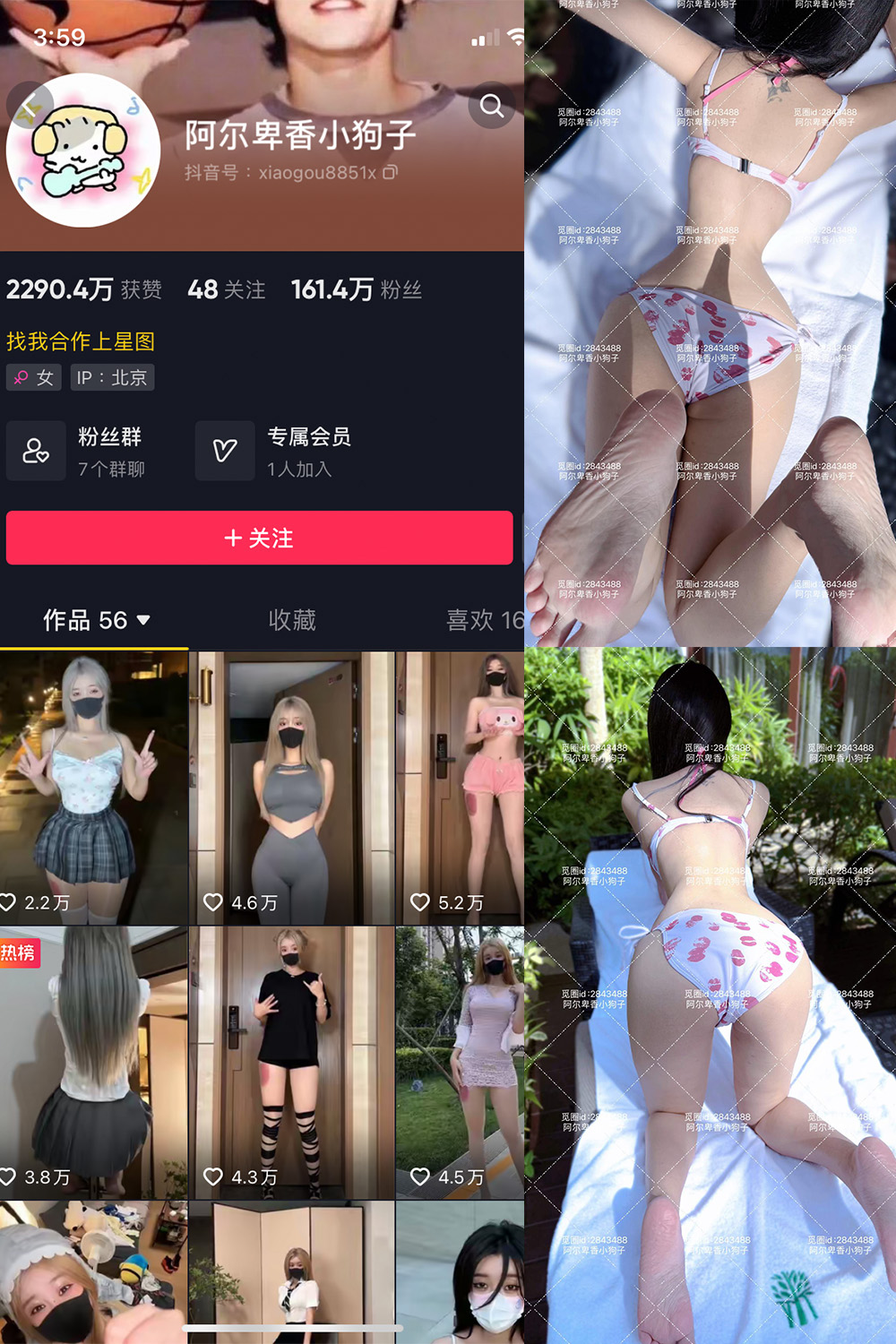 抖音 阿尔卑香小狗子 微密圈  NO.060期 【17P】最新至：2025.2.8-草莓酱