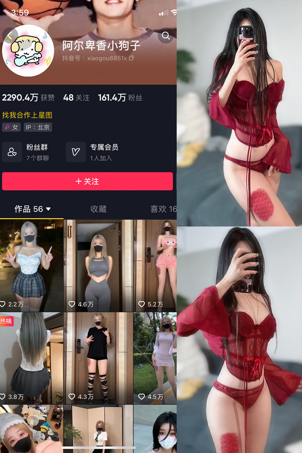抖音 阿尔卑香小狗子 微密圈  NO.056期 【10P2V】最新至：2024.8.25-草莓酱