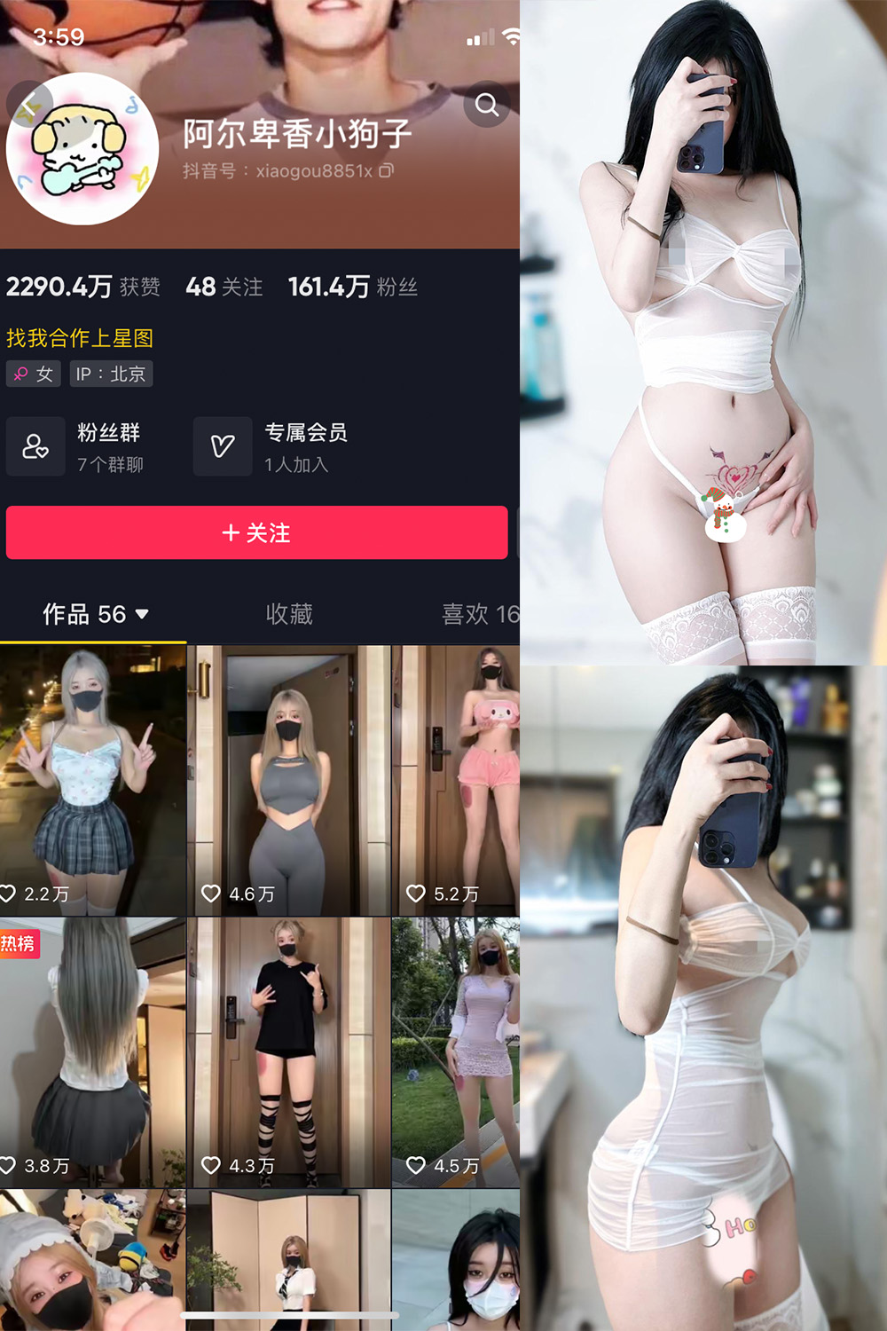 抖音 阿尔卑香小狗子 微密圈  NO.051期 【33P】最新至：2024.7.1-草莓酱