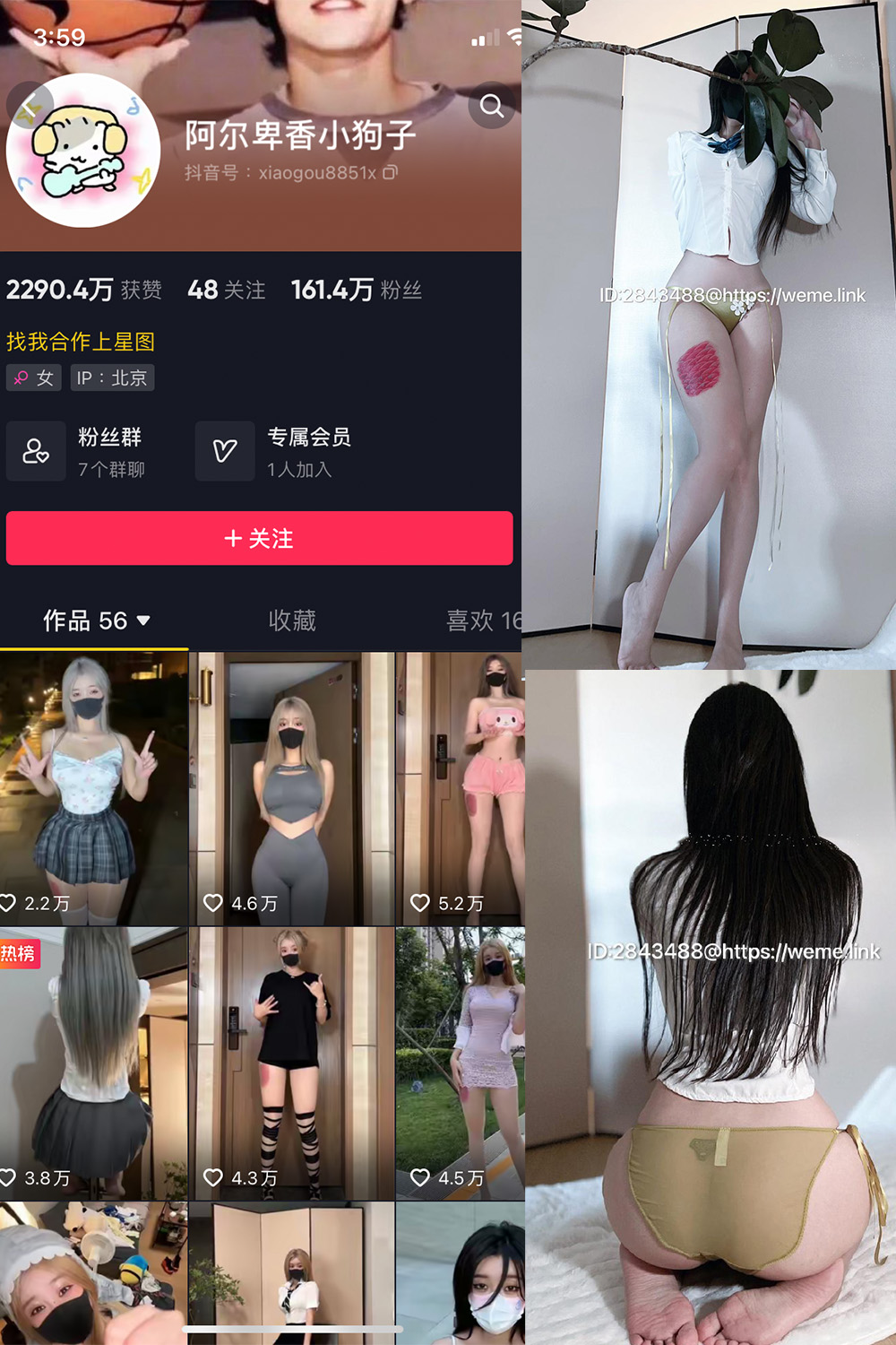 抖音 阿尔卑香小狗子 微密圈  NO.047期 【39P】最新至：2024.6.10-草莓酱