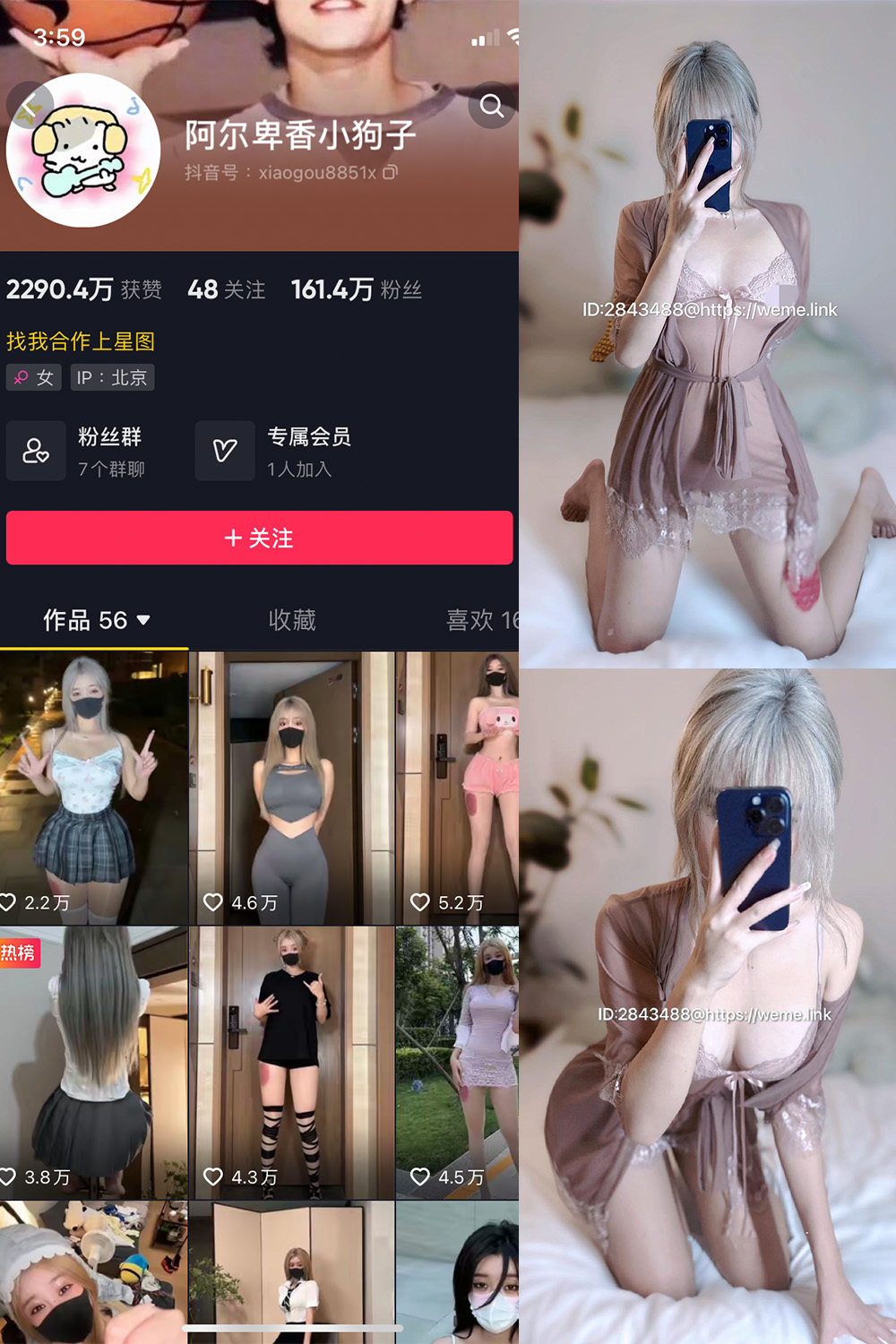 抖音 阿尔卑香小狗子 微密圈  NO.045期 【39P】最新至：2026.6.9-草莓酱